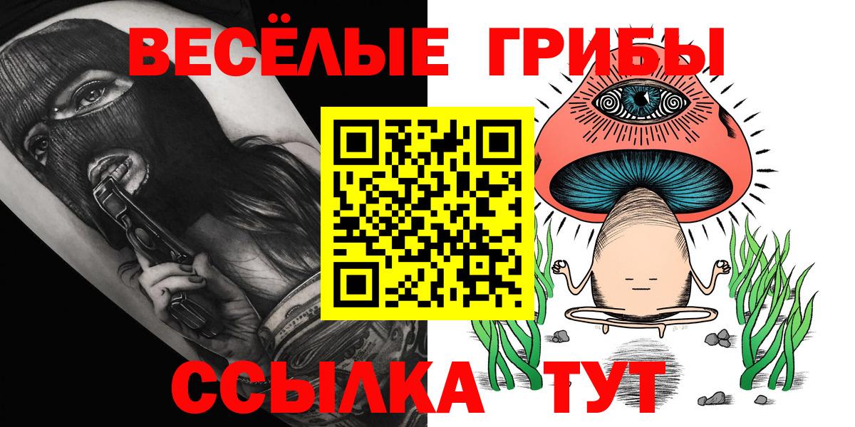 Саяногорск  сколько стоит  Вход с VPN  Галлюциногенные грибы Psilocybe 
