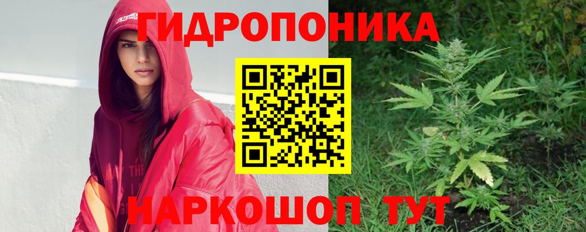 Саяногорск  Шишки марихуана планчик  Канабис сатива  МАРИХУАНА план  Вход с VPN 